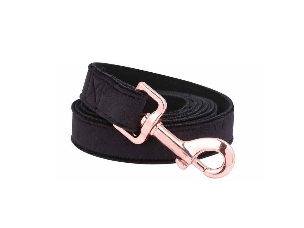 Unique Style Paws Christmas Black Soft Collar And Leash Gifts For Dogs And Cats